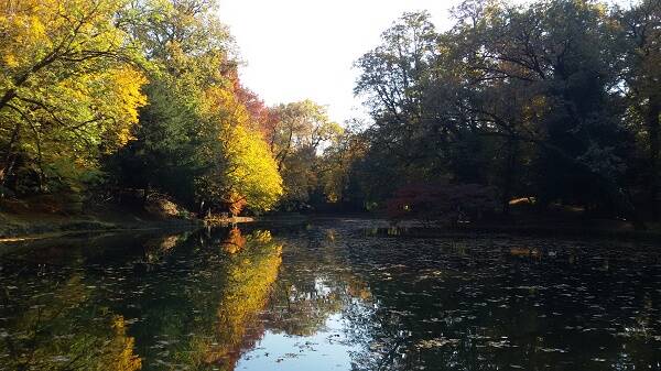 monza parco laghetto -new-mb