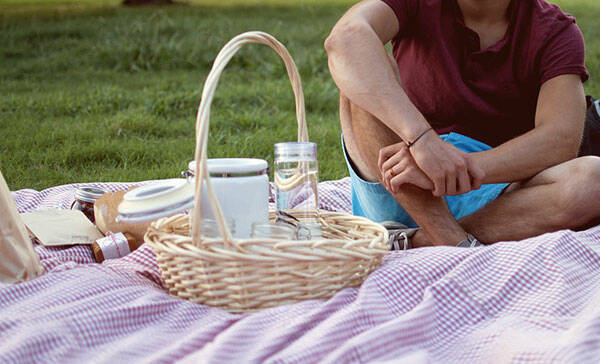 pic-nic1-free-web