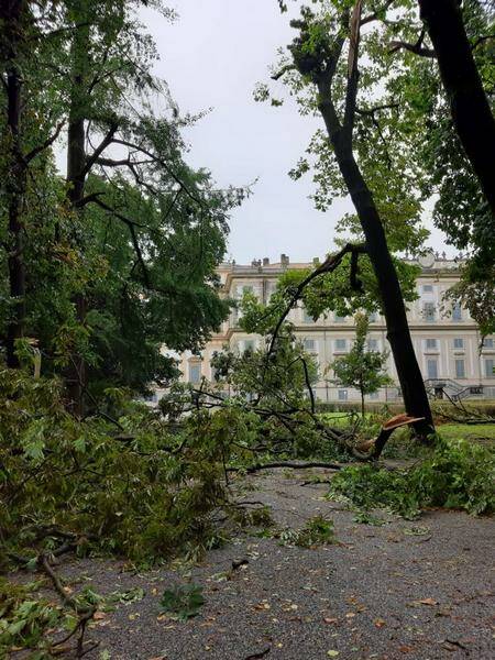 alberi caduti parco di monza 01