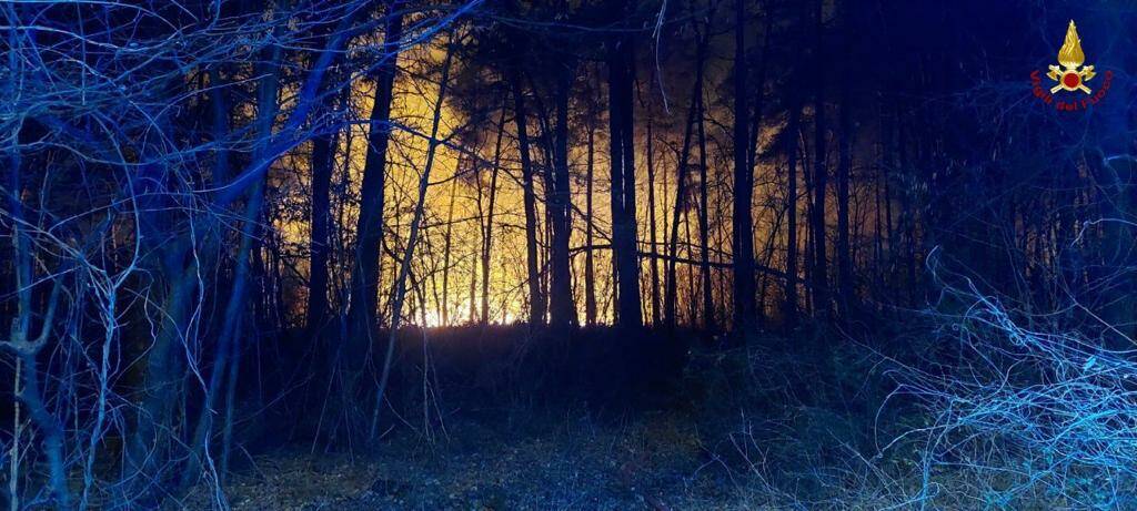 Incendio parco delle Groane