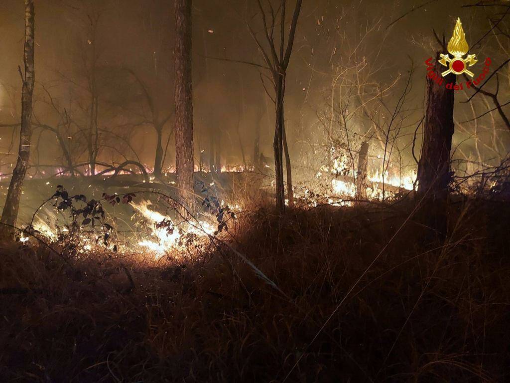 Incendio parco delle Groane