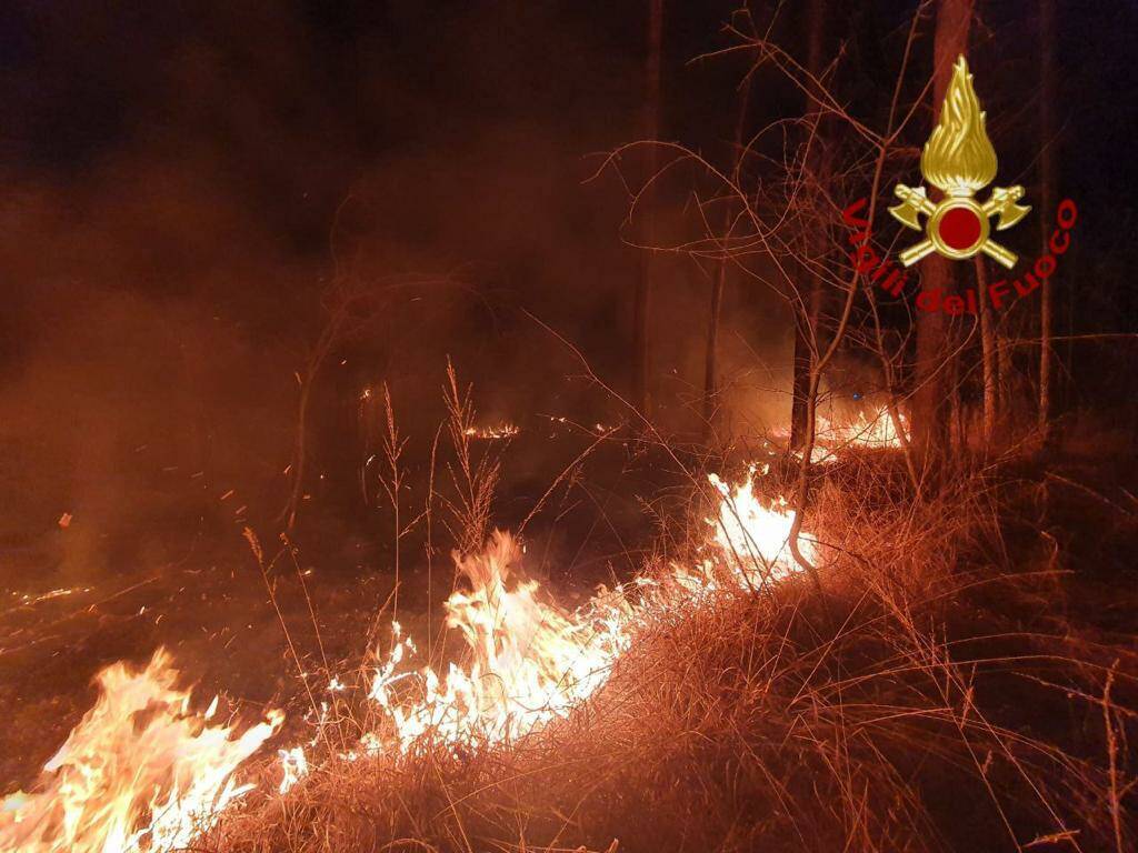 Incendio parco delle Groane