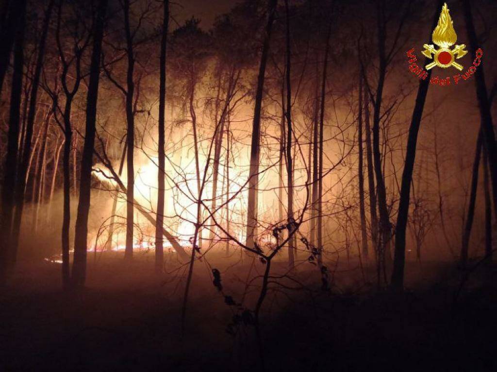 incendio parco delle groane