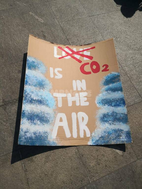 Manifestazione Fridays for Future Monza - 25 marzo