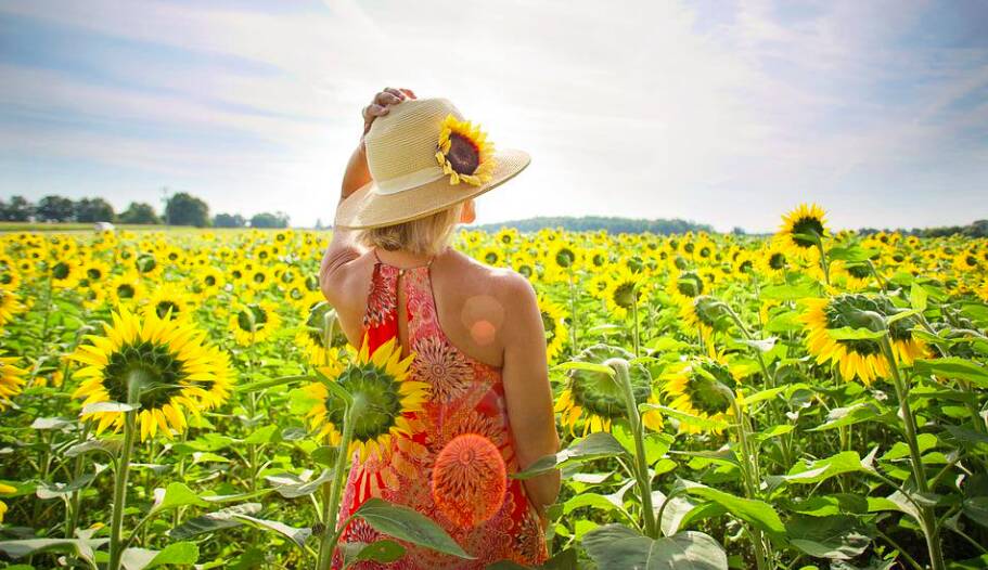 girasoli-campo-free-web