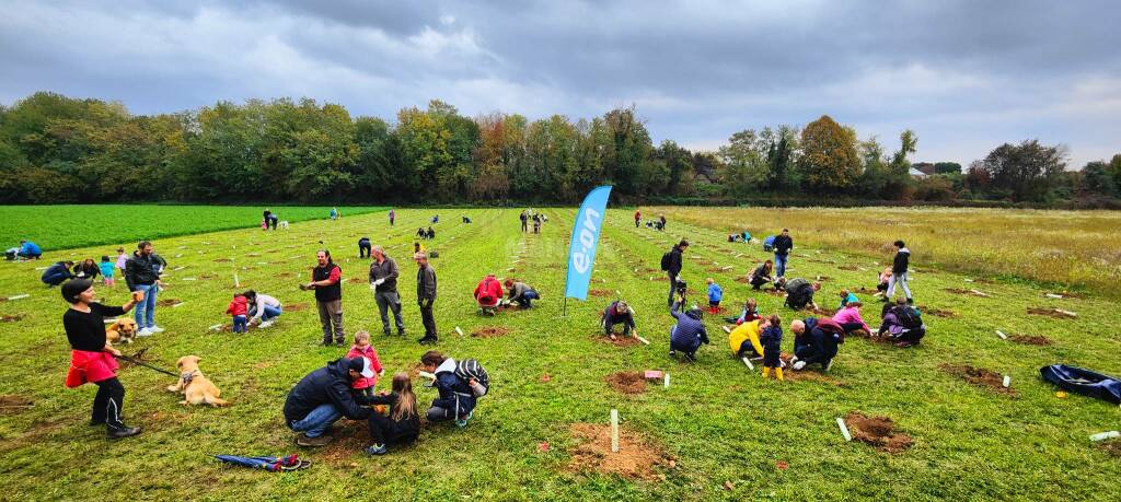 Piantumazione bosco comunitario Oplà Vimercate mb