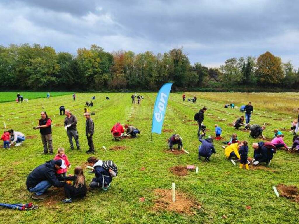 Piantumazione bosco comunitario Oplà Vimercate mb