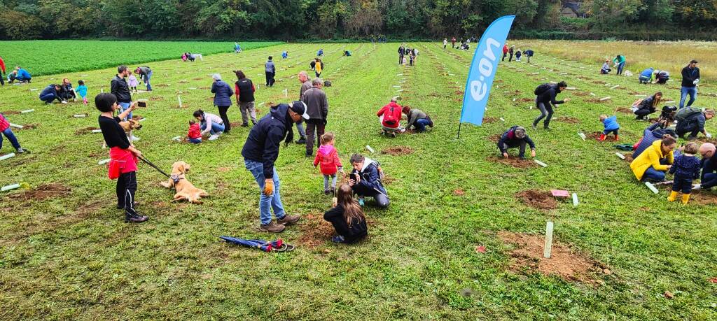 Piantumazione bosco comunitario Oplà Vimercate mb