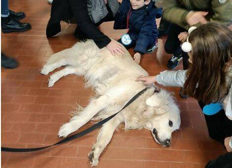 pet therapy scuola Tolstoj Desio