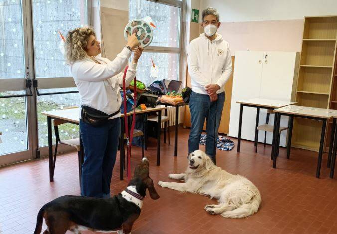 pet therapy tolstoj desio