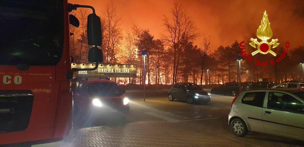 incendio parco delle groane Limbiate