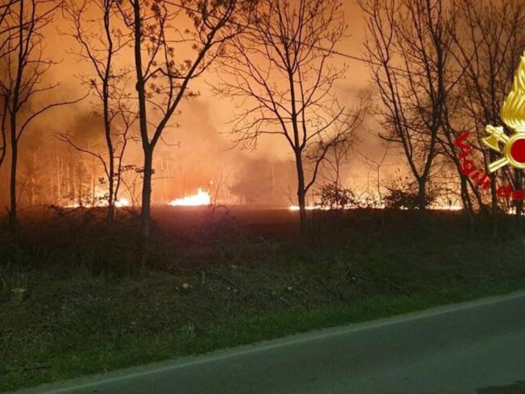 incendio parco delle groane Limbiate