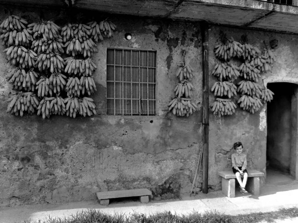 Attilio Pozzi, mostra fotografica, Cesano Maderno