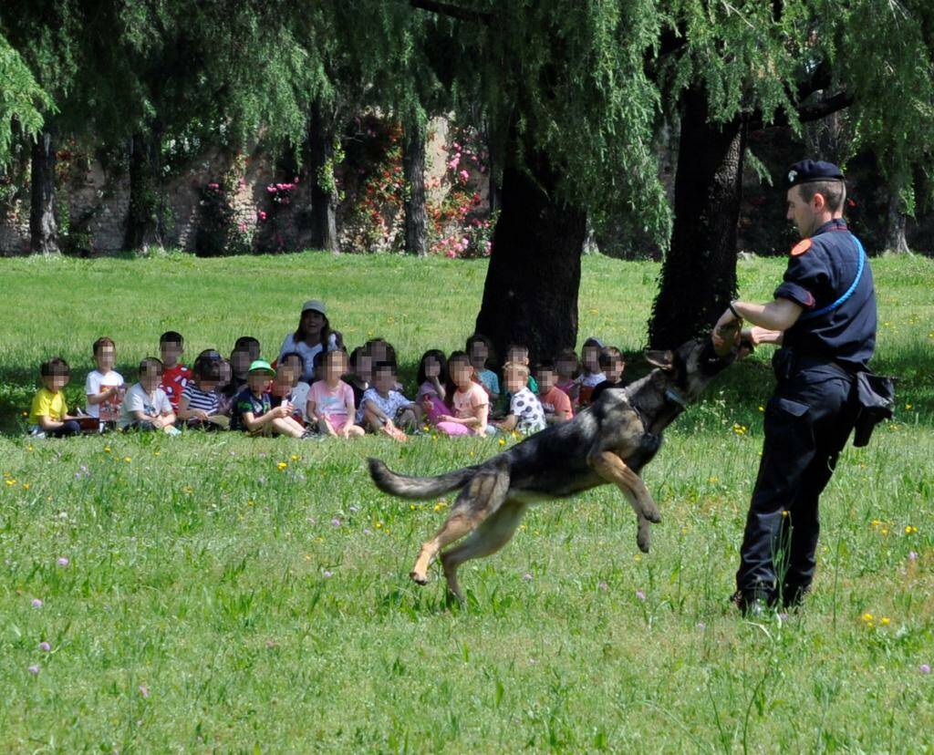 Giornata dedicata alle forze dell’ordine insieme alunni Cesano Maderno