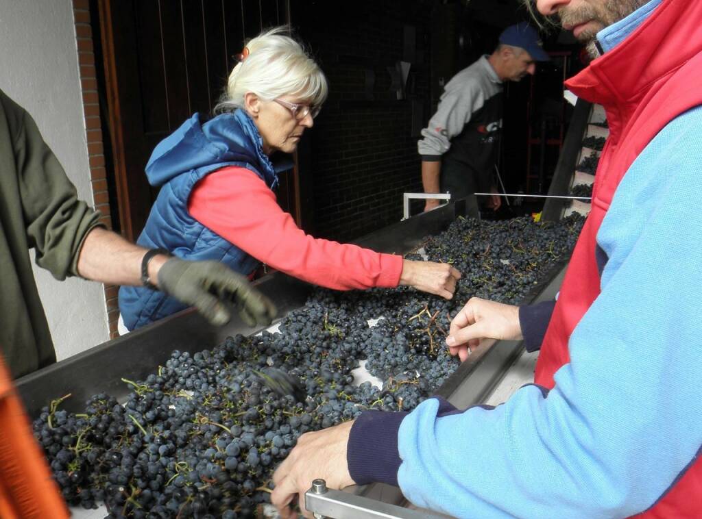 Tenuta Le Mojole vino