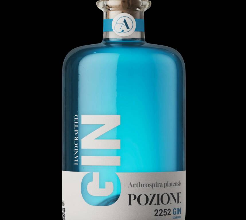 gin di giò pellino