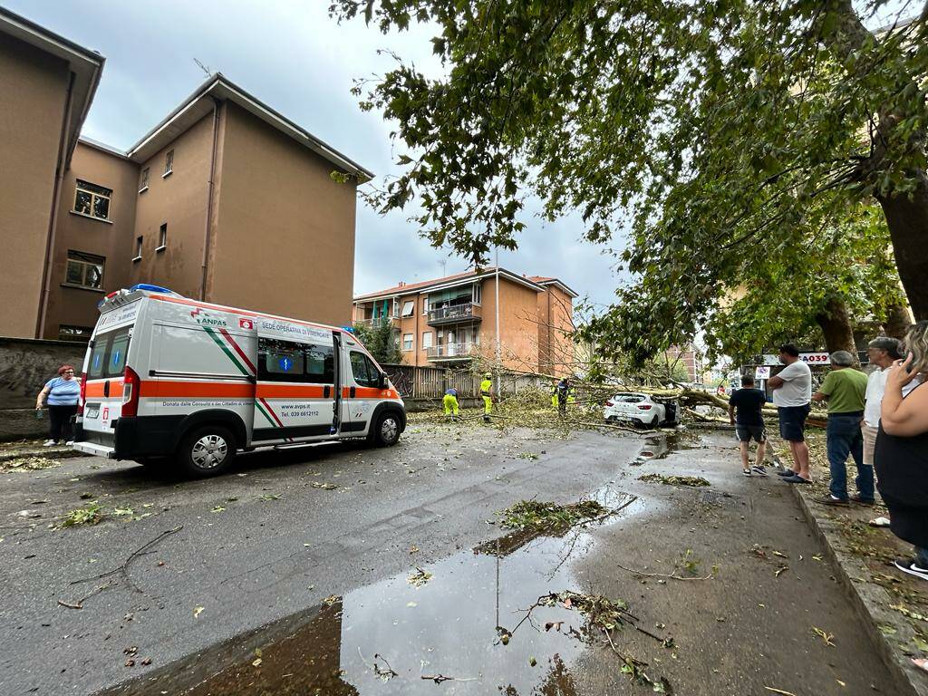 monza maltempo auto schiacciata albero