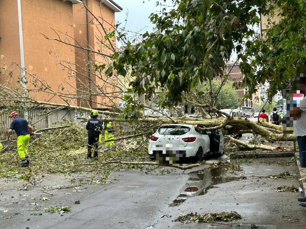 monza maltempo auto schiacciata albero