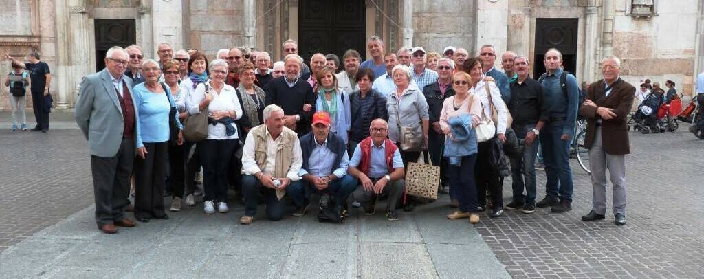 gruppo trasporti arcore ok