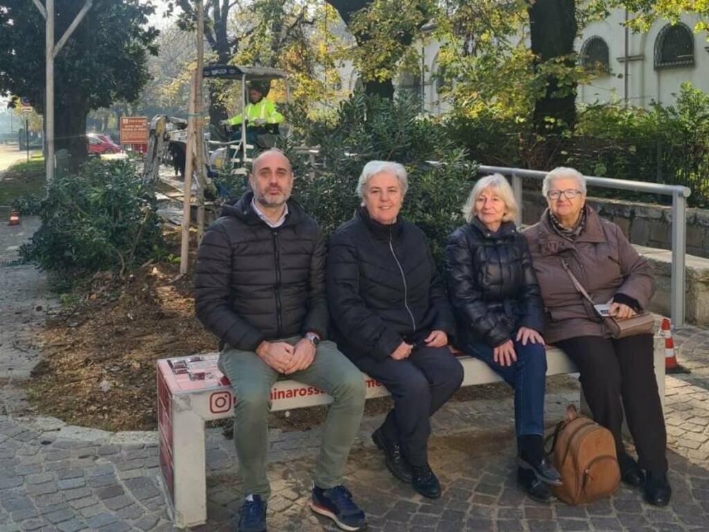 giornata albero desio nuovo albero