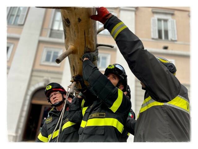 l'albero dei tutti Gregor Prugger Vimercate