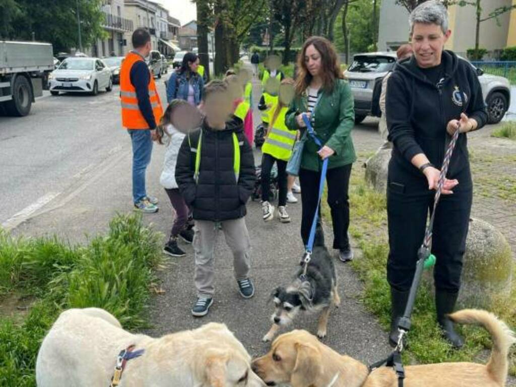 bambini-progetto-piedibus-brugherio