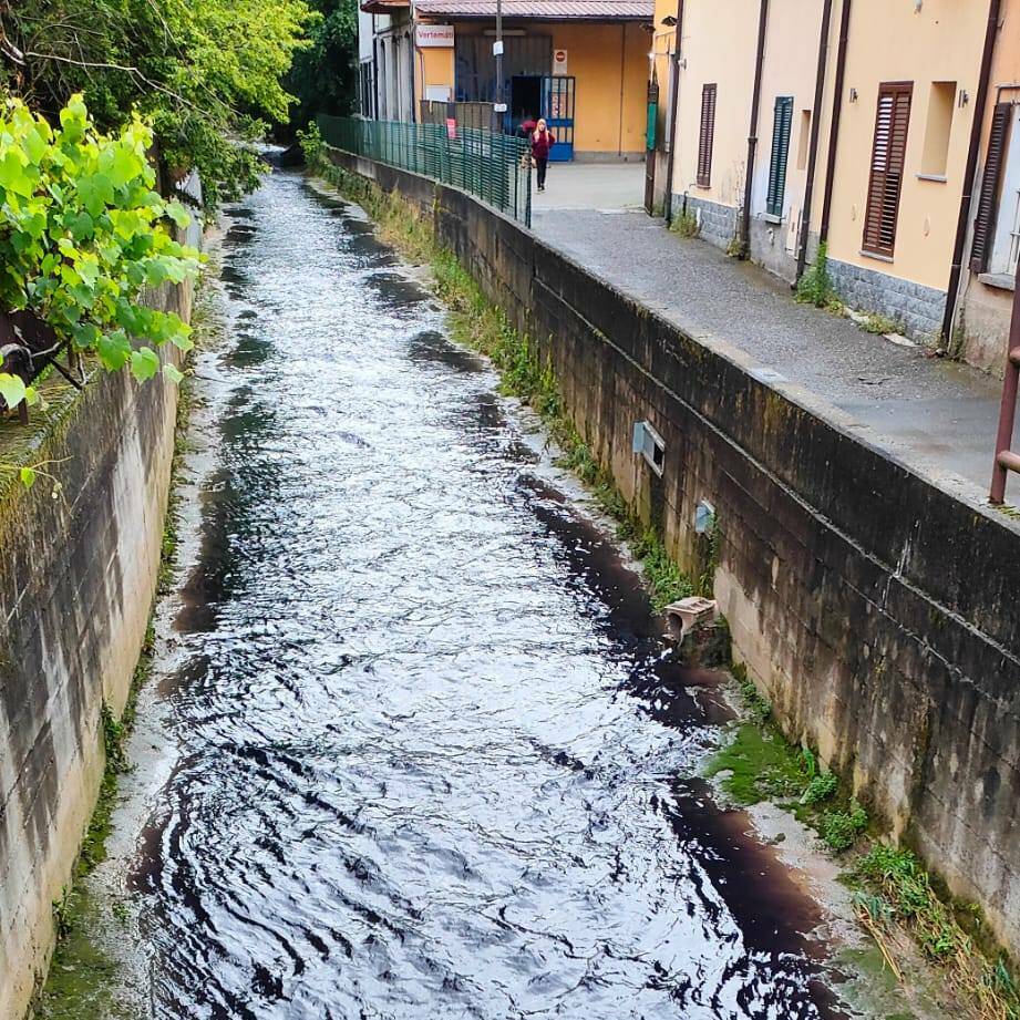 torrente Brovada viola 