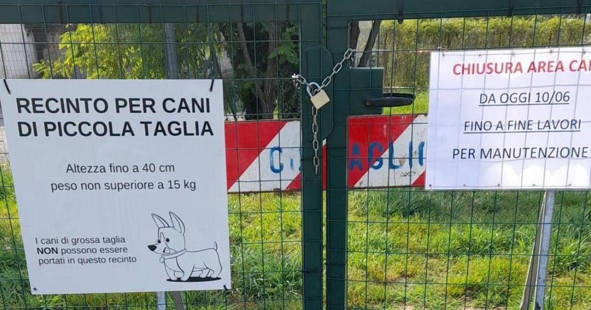 lesmo aea cani lavori