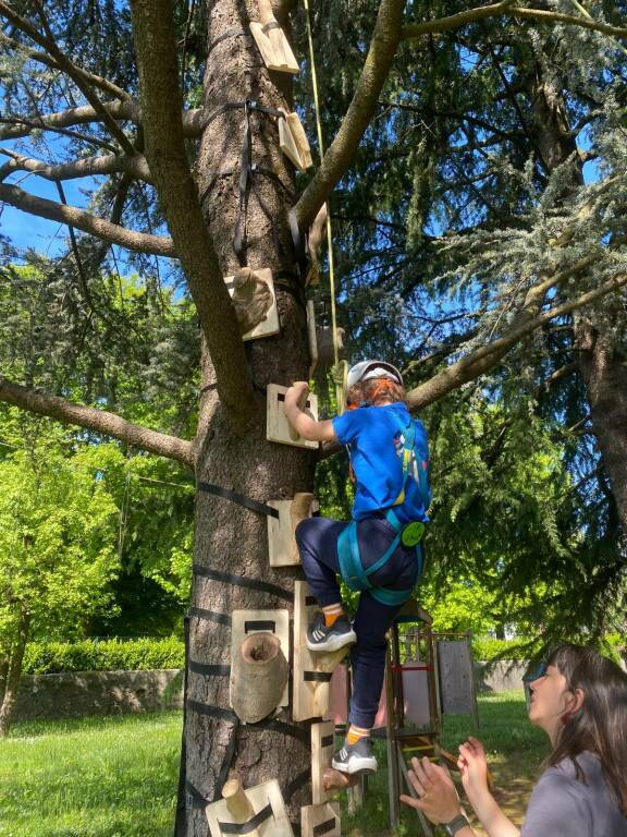 Ben-Essere-in-natura-treeclimbing